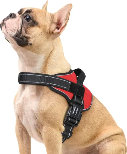 Miniatura 9 de rabbitgoo Arnés para perro de tamaño pequeño, chaleco para mascotas sin tirones, sin estrangulamiento, fácil de llevar con una hebilla, reflectante