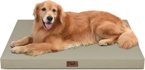 Miniatura 62 de Cama ortopédica de felpa para perros y cachorros medianos, camas impermeables para perros de 30 x 20 pulgadas con funda extraíble lavable, tapete