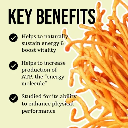 Miniatura 4 de North Spore Cordyceps - Tintura de extracto de hongo, gotas diarias líquidas para energía, resistencia, rendimiento, Cordyceps Militaris orgánico