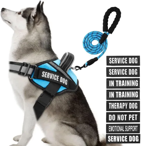 Miniatura 54 de Juego de arnés y correa para perro de servicio, arnés de entrenamiento para perro Animire con 10 parches para perros, correa reflectante para perro