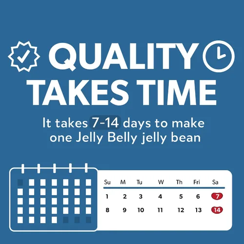 Miniatura 4 de Jelly Belly Sin Azúcar - Bolsa de 8.25 oz - Oficial, Auténtica, Directamente de la Fuente
