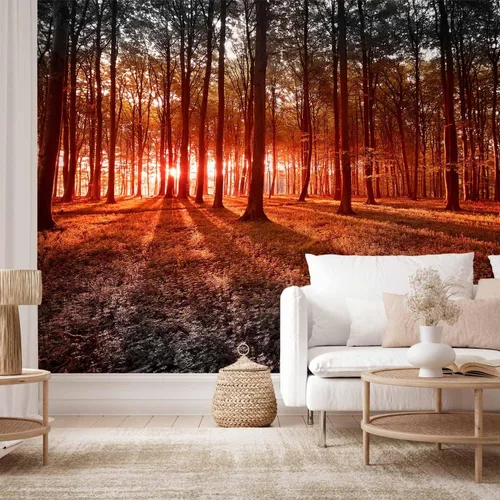 Miniatura 2 de artgeist Mural de pared prémium Bosque de 79 x 55 pulgadas, papel tapiz fotográfico no tejido, impresión artística, mural de pared de forro polar