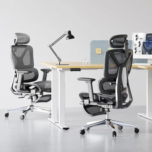 Miniatura 2 de FLEXISPOT ErgoX - Silla de oficina ergonómica de alta calidad con reposapiés, reposabrazos 3D ajustables, soporte lumbar dinámico, función Gris