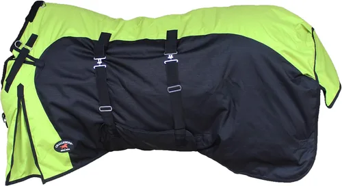 Miniatura 6 de CHALLENGER Manta de invierno de 60 pulgadas 1200D Horse Turnout impermeable de peso pesado 5EE20BG