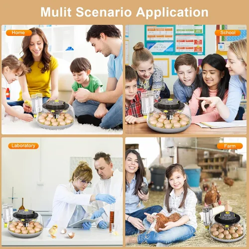Miniatura 7 de IBKINXX Incubadora para incubar huevos: capacidad de 18 huevos, girador automático de huevos, control de temperatura y humedad, visualización