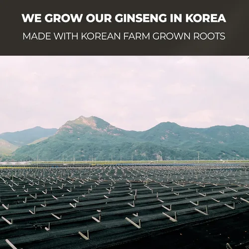 Miniatura 8 de Barra de ginseng rojo coreano de 6 años, 100 unidades, cada extracto de ginseng Plus, 100% de origen coreano, raíces de 6 años, aumenta la energía