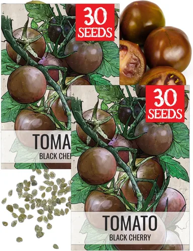Miniatura 14 de Seed Needs Semillas de tomate cereza negra para plantar, reliquia sin OMG y sin tratar, variedad indeterminada para plantar un huerto al aire libre