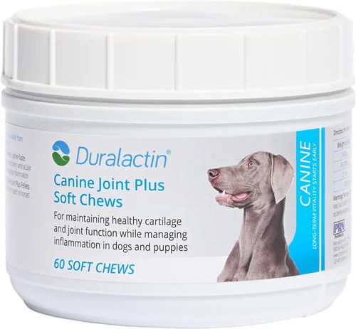 PRN Pharmacal Duralactin Canine Joint Plus Soft Chews - Suplemento de salud articular para perros y cachorros - Apoyo de movilidad de mascotas - 60