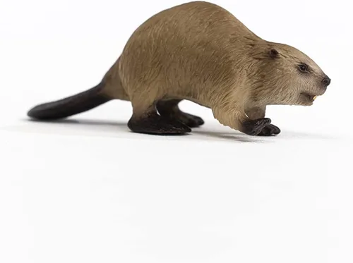 Miniatura 5 de Schleich Wild Life, North American Woodland Juguetes de animales salvajes para niños, figura de juguete de castor, a partir de 3 años