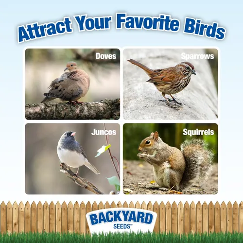 Miniatura 3 de CountryMax Backyard Seeds - Maíz agrietado de 10 libras – Alimento animal de alta energía para pollos, ardillas, ciervos y aves silvestres