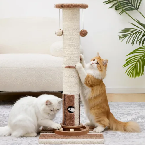 Woochpet Poste rascador para gatos de 34 pulgadas de alto con pista de bola para gatos, resistente y más grueso, de gran diámetro, poste rascador de