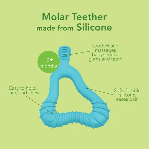 Miniatura 3 de Green Sprouts Mordedor molar de silicona, 12 meses +, silicona curada con platino, seguro para esterilizador, probado para hormonas, arándano claro