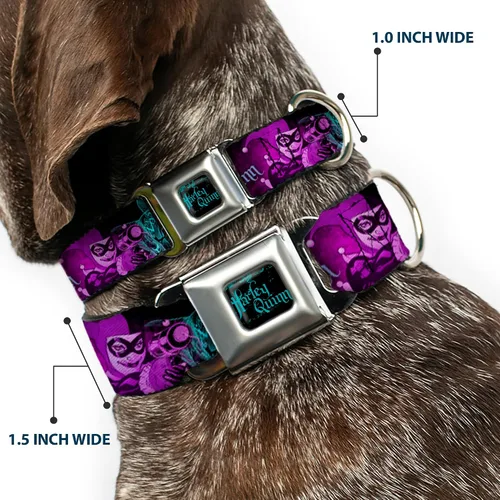 Miniatura 2 de Collar de perro hebilla de cinturón de seguridad Harley Quinn Pow Aiming Poses Joker Negro Turquesa Fucsia 18 a 32 pulgadas 1.5 pulgadas de ancho