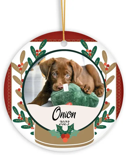 Miniatura 9 de Nombres de fotos personalizados, regalo de adorno de lesbianas gay, foto personalizada para parejas LGBT Gay Lesbianas Orgullo Arco Iris Ornamento
