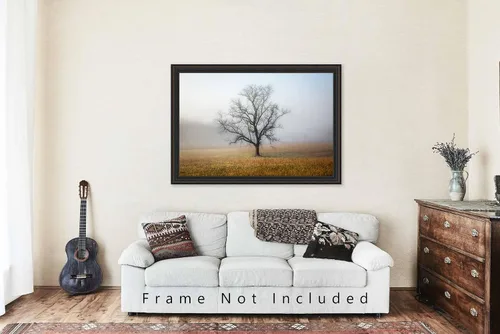 Miniatura 5 de Nature Photography Print (Not Framed) Picture of Tree Shrouded in Fog on Autumn Morning in Great Smoky Mountains Tennessee Appalachian Wall Art