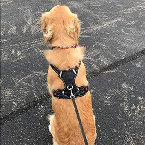 Miniatura 7 de Collar de cinturón ajustable a juego, suministros de entrenamiento reflectante para mascotas, arnés de nailon para perros grandes sin tensión