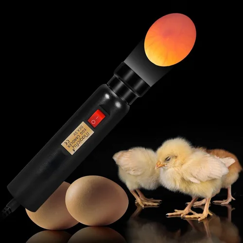 Miniatura 5 de Probador de huevos con luz LED Magicfly.