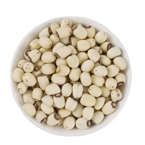 Semilla de loto; Vaina de semillas de loto; nuez de loto; semillas de loto orgánicas; semillas de loto para cocinar; semen nelumbinis, semen de loto