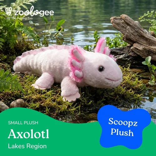 Miniatura 2 de The Petting Zoo Axolotl - Peluche de animal de peluche, regalos para niños, animales marinos Scoopz, juguete de peluche de salamandra rosa, 8