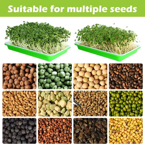Miniatura 6 de EBaokuup Bandeja de germinación de semillas con orificios de drenaje, bandejas de propagación de germinación de plantas de jardín sin BPA, bandeja