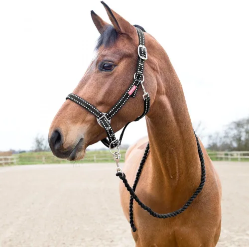 Horze Cooper Halter con cuerda de plomo - Negro - Cob