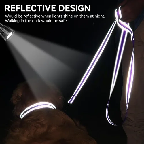 Miniatura 4 de Joytale - Correa reflectante de doble cara para perro, 6, 5 y 4 pies, resistente de nailon, asa acolchada, para pasear perros medianos y grandes