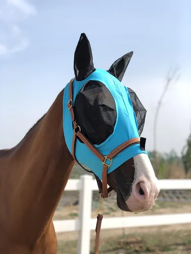 Miniatura 7 de Máscara para caballo Tgw Riding, con orejas, con agarre extracómodo, de malla suave, Azul, M Pacific Blue