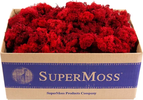 Miniatura 30 de Super Moss 21669 - Musgo de reno preservado, Chartreuse, 8 onzas (200 pulgadas cúbicas)