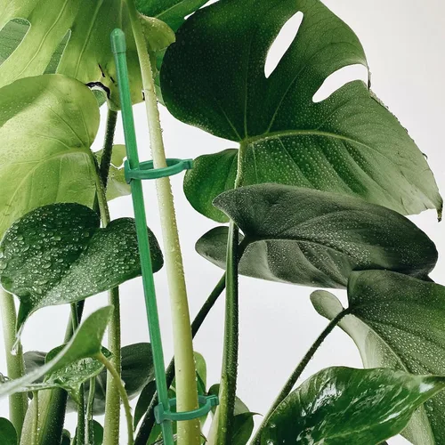 Miniatura 7 de 20 estacas de soporte para plantas, altura ajustable, para jardín, con 40 clips para plantas y 10 tubos de conexión para orquídeas, rosas, peonías