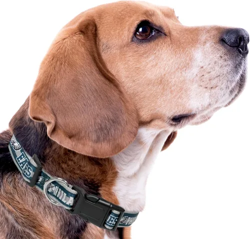 Miniatura 7 de Collar NFL PET Philadelphia Eagles para Perros, Collar de Equipo de Fútbol de Tamaño Extra Grande para Perros y Gatos. Un Collar para Gatos y Perros