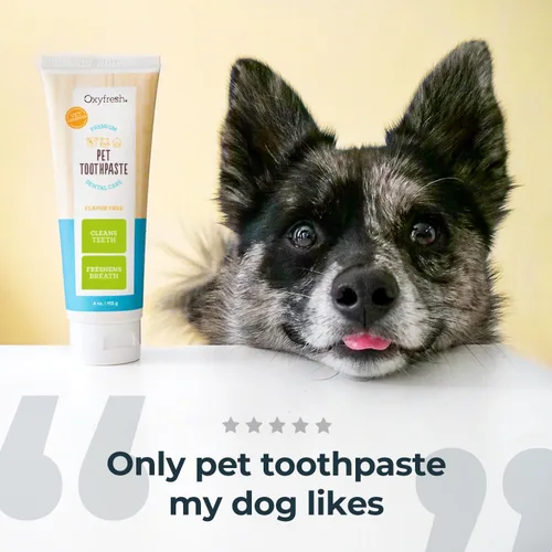 Miniatura 3 de Oxyfresh Pasta dental profesional para gatos y perros, gel de limpieza de dientes para placa, sarro y mal aliento, cuidado dental de mascotas