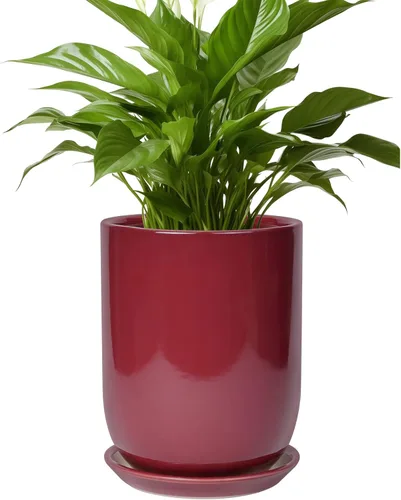 Miniatura 29 de Maceta de Cerámica para Plantas de Interior de 5 Pulgadas - Maceta Redonda para Plantas Suculentas con Agujero de Drenaje y Platillo, Decoración
