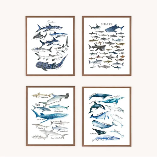 VNWEK Póster artístico de pared de tiburones y ballenas rústicos en acuarela sin marco de 12 x 16 pulgadas, juego de 4, decoraciones de vida marina