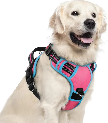 Miniatura 33 de rabbitgoo Arnés para perro de tamaño pequeño, chaleco para perro sin tirones con 3 hebillas, arnés ajustable y acolchado suave para mascotas con asa