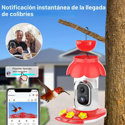 Miniatura 2 de Comedero de colibrí con cámara, comedero inteligente inalámbrico para pájaros para ver video al aire libre, cámara AI con videos de captura