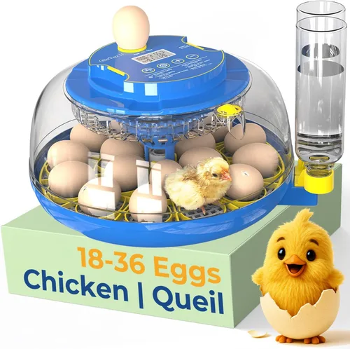 OtterVerz 11 Incubadoras de huevos para incubar 18-36 huevos de pollo, codorniz/pavo, incubadora de aves de corral con visión de 360° con giro