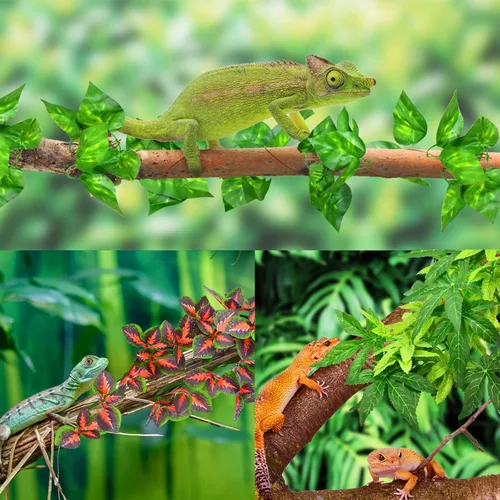 Miniatura 5 de KATUMO Plantas de reptiles, 3 plantas colgantes de anfibios con ventosa para serpientes, dragones barbudos, lagartos, geckos, sapos, tanque