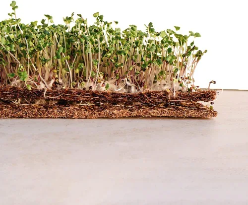 Miniatura 3 de Envelor Tapete de cultivo de fibra de coco para microverdes de 10 x 20 pulgadas, forro de semillas de coco para bandejas de cultivo, cestas