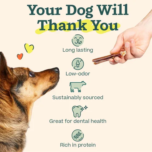 Miniatura 4 de WOOF Golosinas de huesos masticables para perros - Palitos masticables para perros - Golosinas masticables duraderas para perros - Hechas con carne