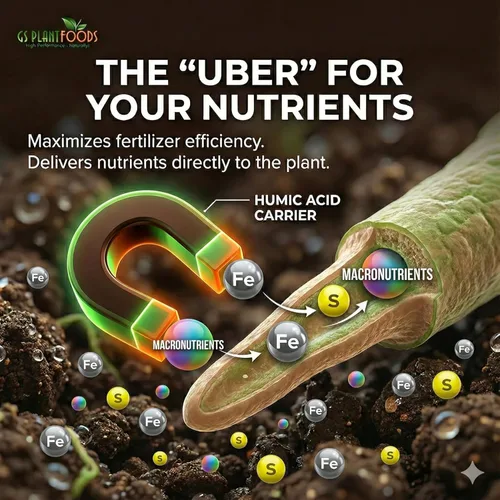 Miniatura 6 de GS Plant Foods Enmienda del suelo de ácido húmico - Concentrado líquido derivado de leonardita para mejorar la estructura del suelo