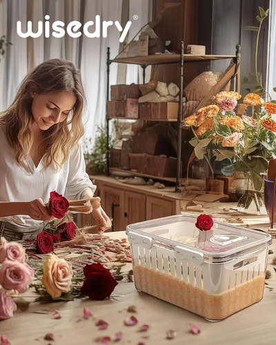 Miniatura 9 de Wisedry Envase para secar flores con gel de sílica, extracción de flores secas en un paso, caja de almacenamiento de 29,2 cm de largo X 19,5 cm