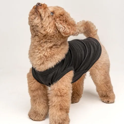 Miniatura 2 de Camiseta Proud Pup of The Graduate Dog Perros sin mangas Accesorio de graduación Clase de 2025 2026 2027 2028 Negro, XS (737)