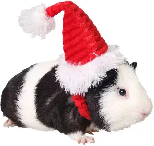 Sombrero de Papá Noel de conejillo de indias, gatito, conejo, hámster, chinchilla, erizo, hurones, ardilla, sombrero de Navidad, gorra de Papá Noel