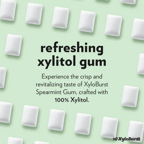 Miniatura 4 de XyloBurst Goma de mascar de xilitol Sin azúcar, sin gluten, apto para dieta cetogénica, sin aspartamo para la salud bucal, menta verde, tarro
