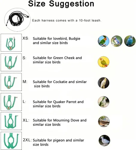Miniatura 3 de Juego de arnés ajustable y correa para pájaros pequeños, apto para periquitos, conures, cacatúas, mejillas verdes, loros cuáqueros (verde, XS) 6350-6