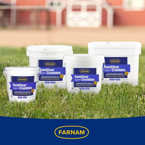 Miniatura 11 de Farnam SandClear Psyllium Crumbles Suplemento para caballos, ayuda a eliminar la arena del colon y apoya la salud digestiva, sabor a manzana/melaza
