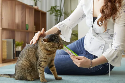 Miniatura 3 de INABA - Golosinas Churu para gatos, puré cremoso para gatos, sin cereales, que se puede lamer y exprimir / suplemento con vitamina E y taurina, 0.5