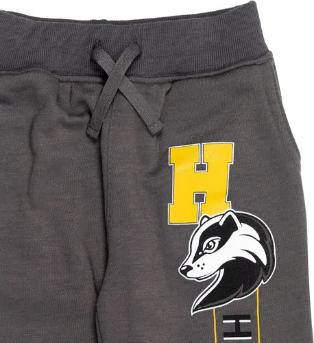 Miniatura 6 de Harry Potter Gryffindor Slytherin Hufflepuff Ravenclaw - Paquete de 2 pantalones deportivos de forro polar para niños pequeños a grandes