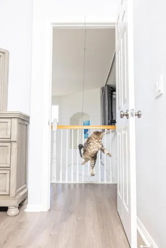 Miniatura 3 de SPOT A-Door-Able - Juguete interactivo para gatos con sonajero colgante y hierba gatera, entretiene a los gatos durante horas, disfruta