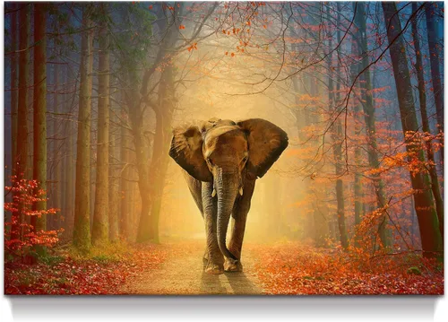 Miniatura 14 de Arte de pared blanco y negro de elefante – Pintura rústica en lienzo – Imagen de animales africanos – Obra de arte natural para decoración de baño